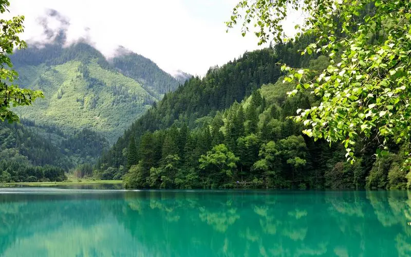 网络化智能化数字化